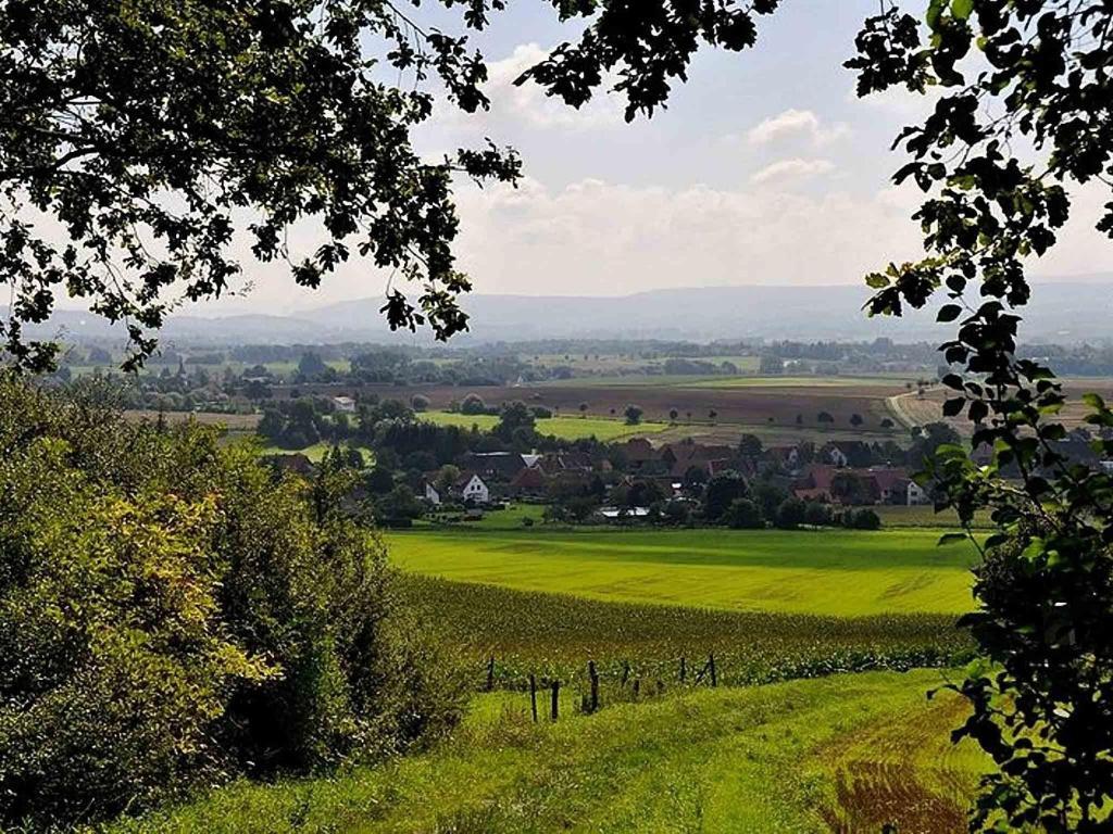 Hotel Weinschanke Rohdental Hessisch Oldendorf Esterno foto